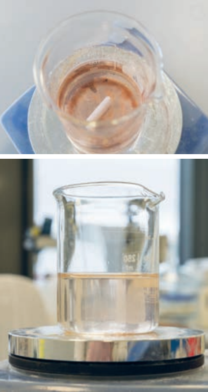 Reinigungsleistung des funktionalisierten Chitosans am Beispiel von Spülwasser aus der Rotweinbereitung