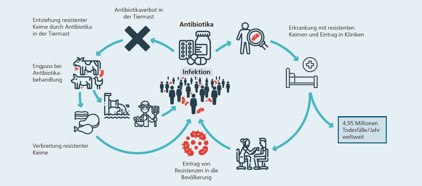 Das Schema zeigt, dass eine Reduktion des Antibiotikaeinsatzes in der Nutztierhaltung der Entstehung und Ausbreitung mikrobieller Resistenzen entgegenwirken kann.