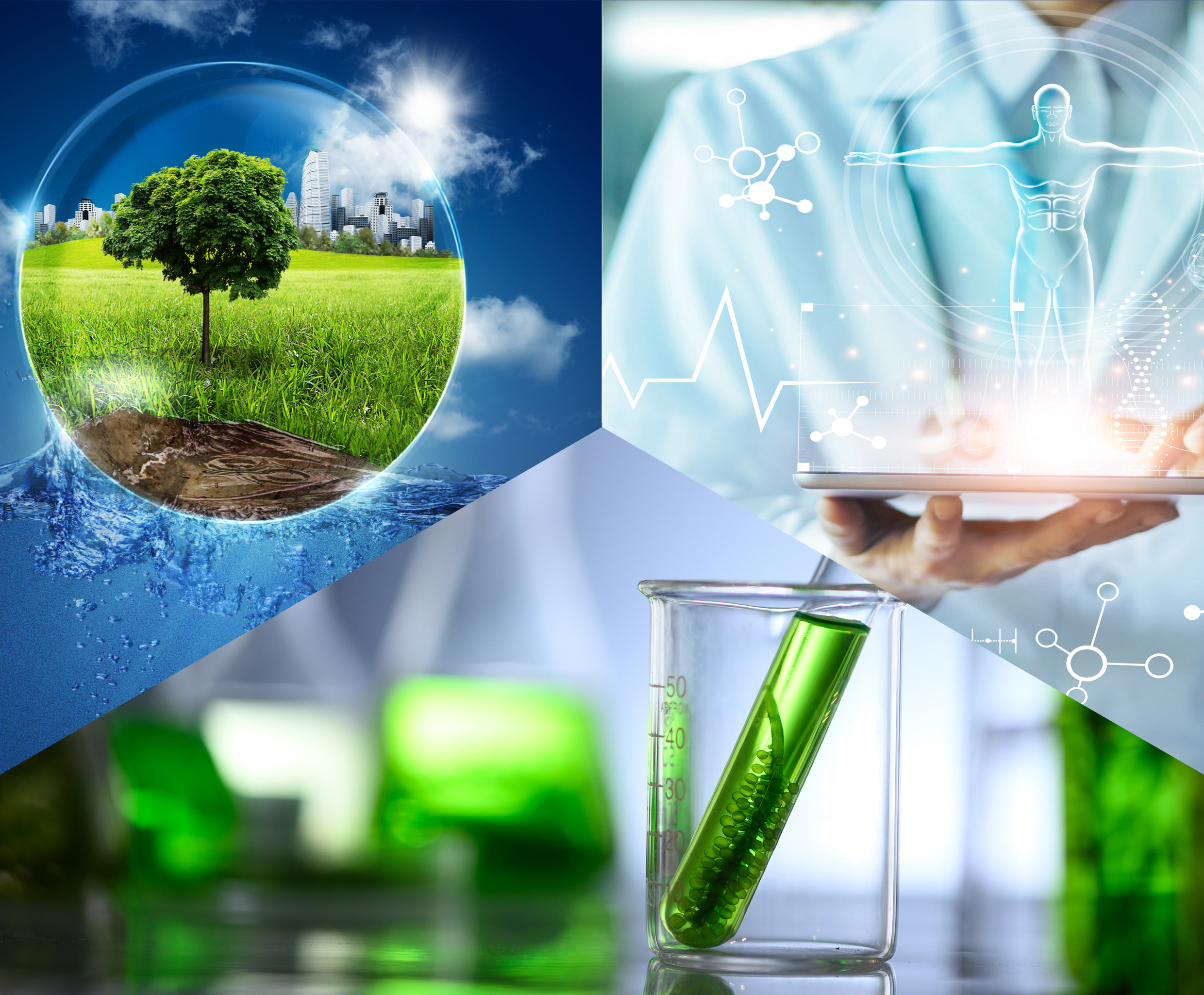 Nach einer Neuausrichtung konzentriert sich das IGB auf die Geschäftsfelder Gesundheit, Nachhaltige Chemie und Umwelt.
