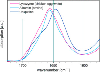 Proteinanalytik.