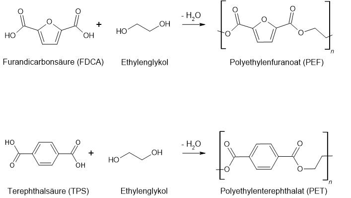 Darstellung der Strukturhomologie von 2,5-Furandicarbonsäure (FDCA) und Terephthalsäure (TPS). Beide Materialien lassen sich polymerisieren: aus FDCA erhält man Polyethylenfuranoat (PEF) und aus PTA den Kunststoff PET.