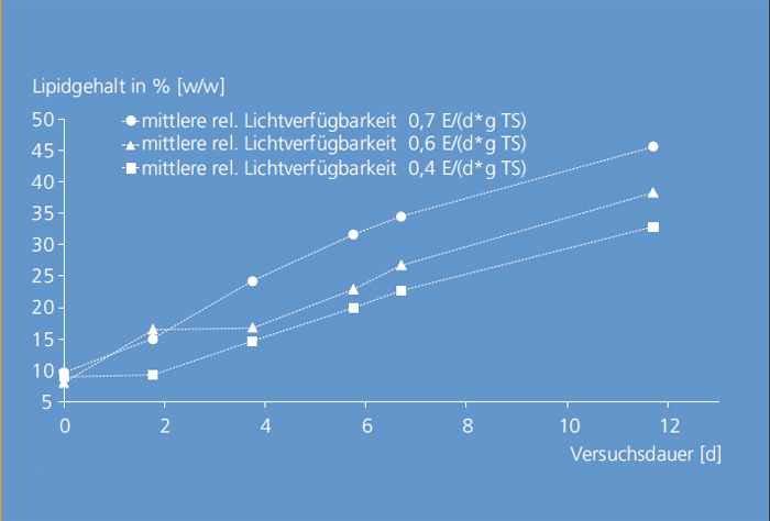 Lipidgehalt einer stickstofflimitierten Freilandkultur von Chlorella vulgaris.