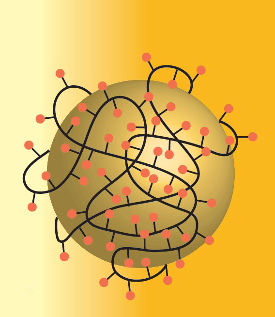Anwendungsbeispiel »PEGylierung« von Goldpartikeln zur Verbesserung der Biokompatibilität.