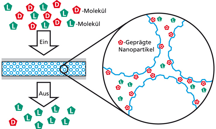Aufbau und Funktionsweise einer stoffselektiven Kompositmembran mit molekular geprägten Polymernanopartikeln als Selektoren.