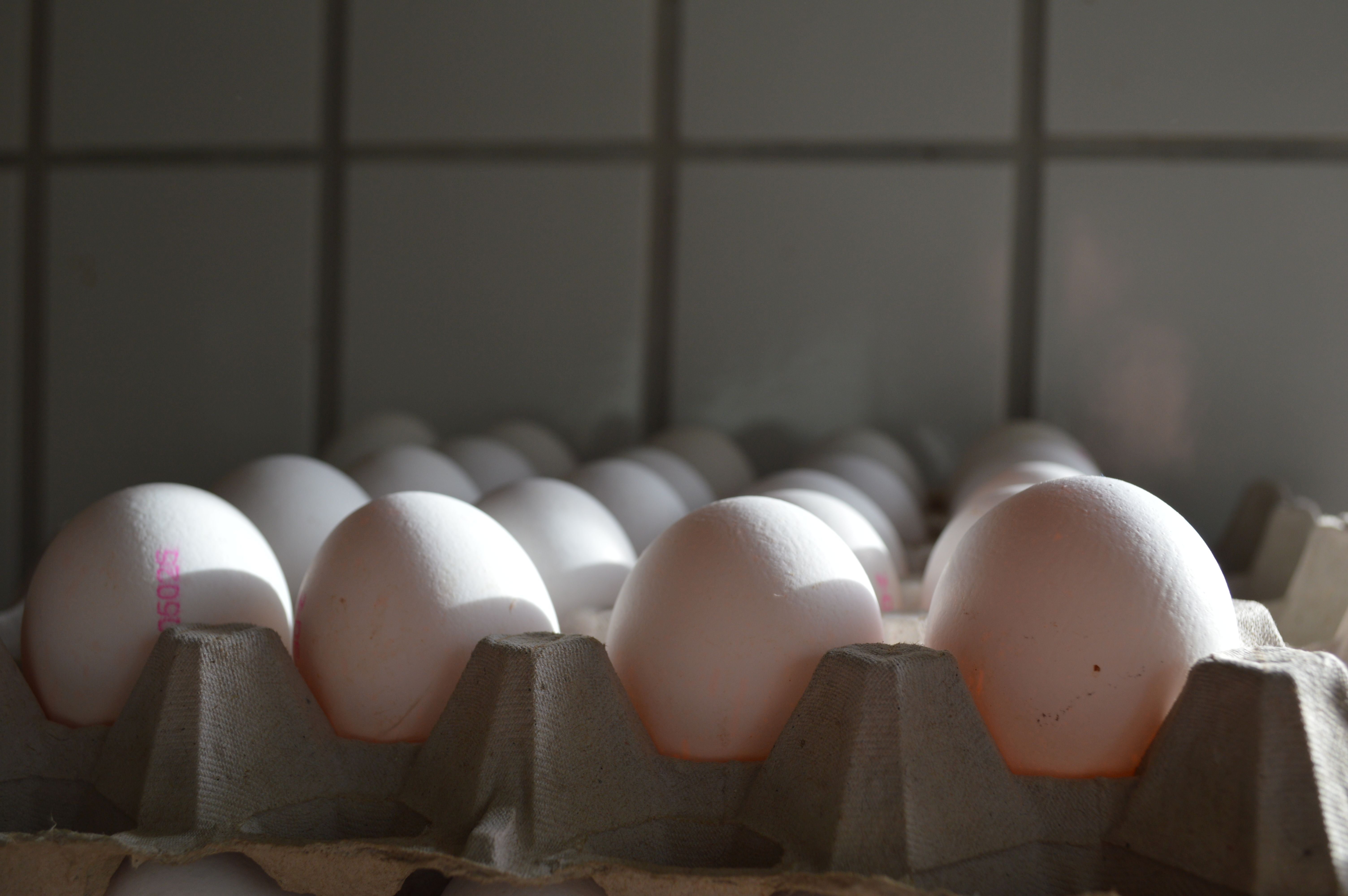 Eierschalen.
