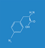 Synthetische Aminosäure: Azidophenylalanin.