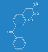 Synthetische Aminosäure: Benzoylphenylalanin.