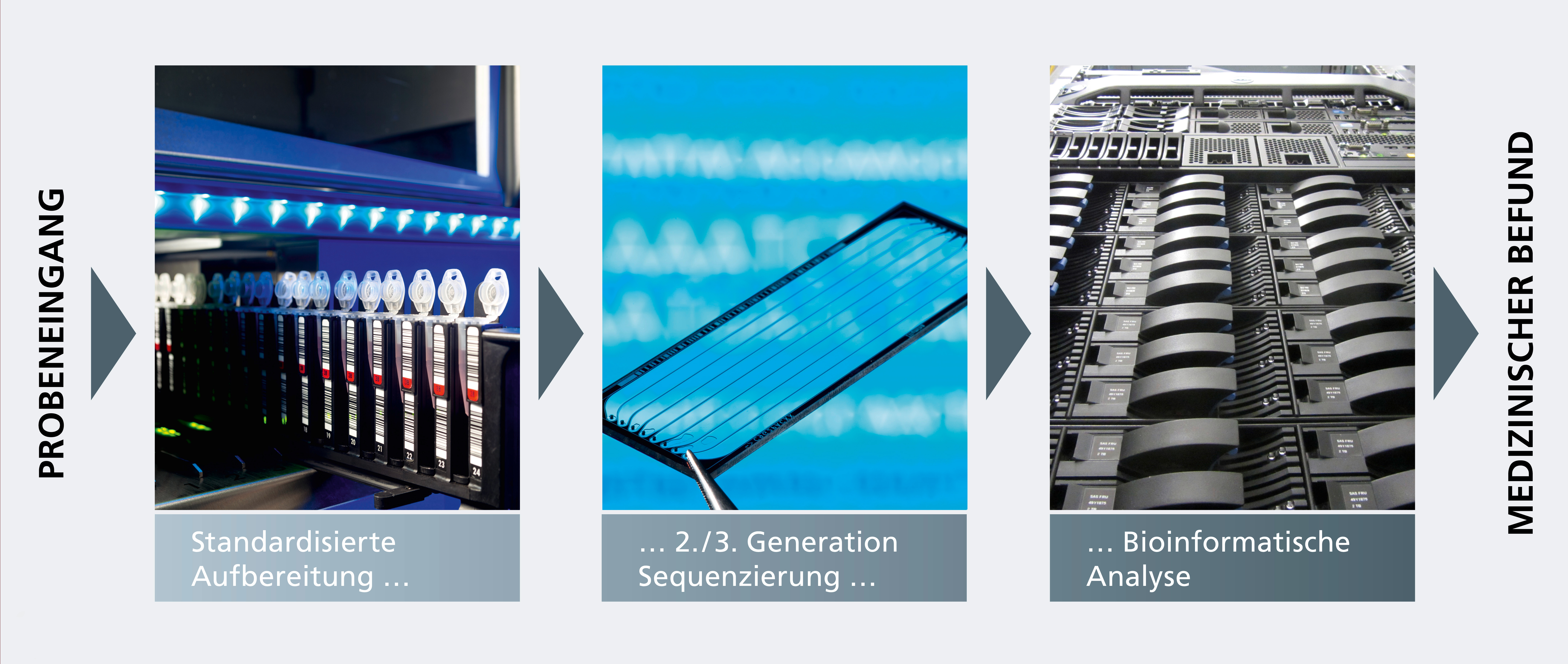 Dreistufiger Prozess zur molekularen Infektions­diagnostik mittels NGS.