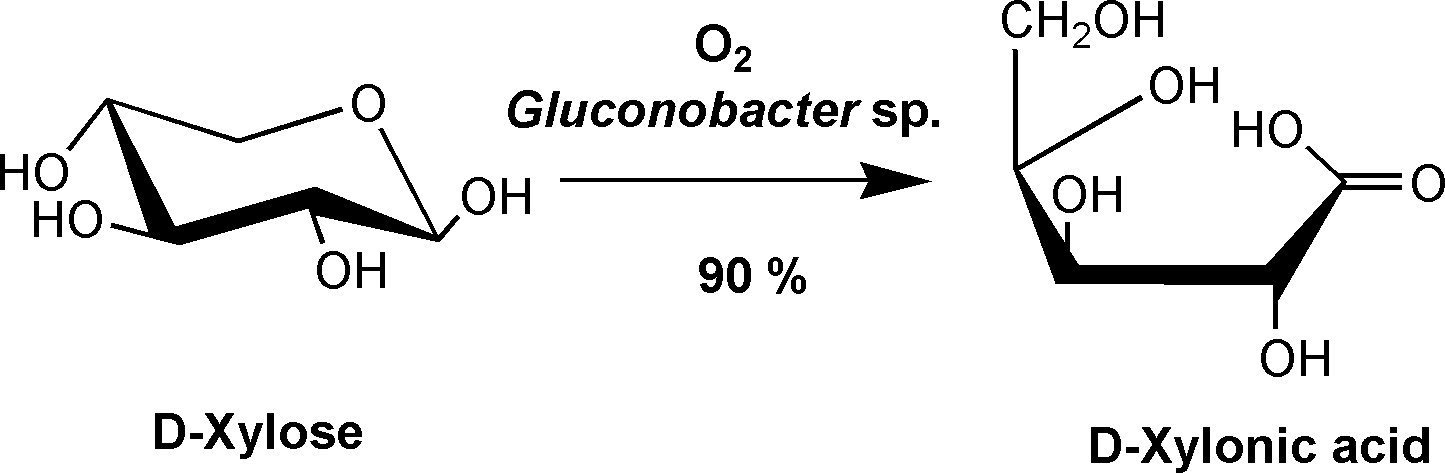 Xylonsäureproduktion