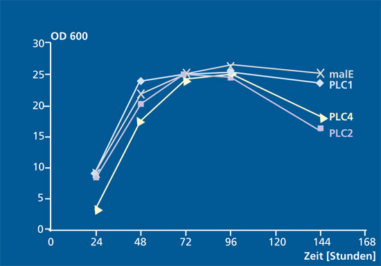 Zeitlicher Verlauf der PLC-Expression in K. lactis.