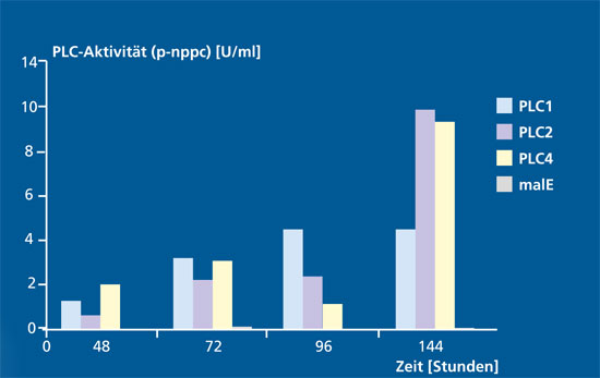 Aktivität der verschiedenen Phospholipase-C-Konstrukte PLC1, PLC2 und PLC4; malE (maltose binding protein) stellt die Negativkontrolle dar.