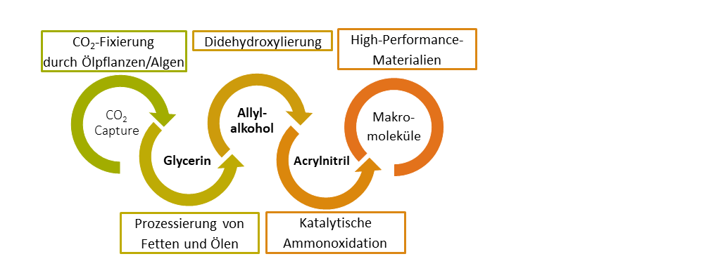 Prozessschema zur Synthese von Acrylnitril aus erneuerbaren Rohstoffen