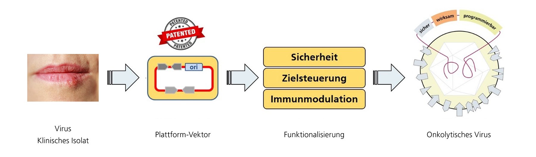 Schematische Darstellung der patentierten TheraVision-Plattform