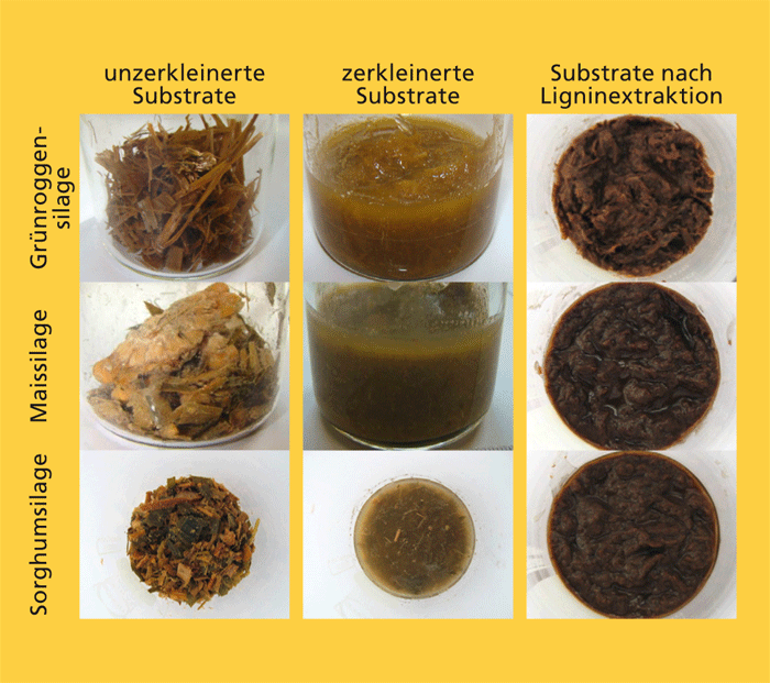 Eingesetzte Substrate.