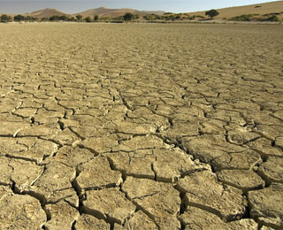 Bodendegradation.