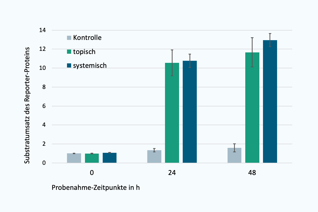 Trans-Zimtaldehyd zeigt über die Induktion des Nrf2- Signalwegs sowohl bei topischer als auch systemischer Applikation deutliche sensibilisierende Eigenschaften. Trans-Zimtaldehyd wirkt sensibilisieren und ist zudem in der Lage die Haubarriere zu durchdringen. 