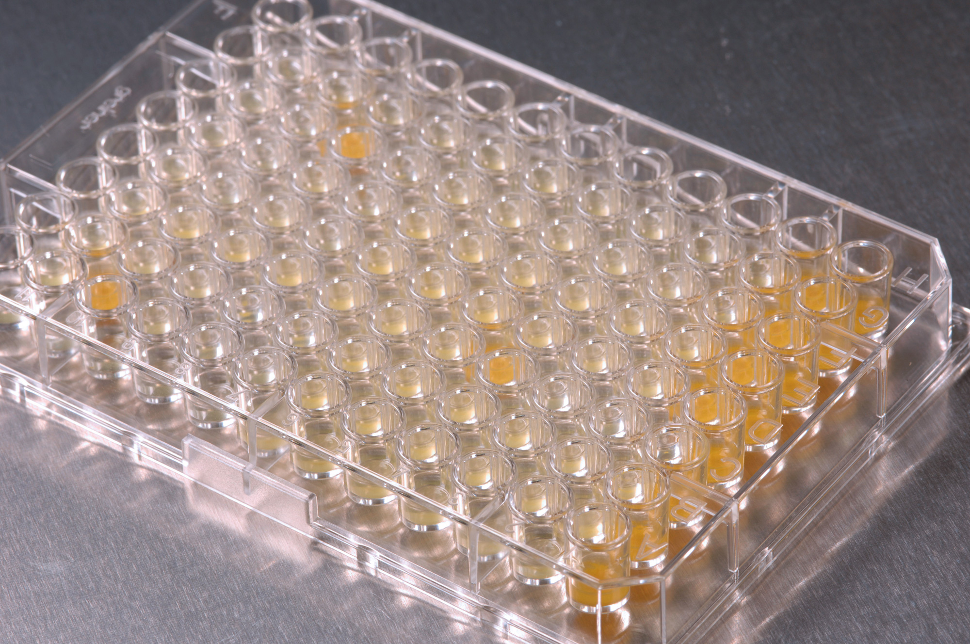Automatisiertes High-Throughput-Screening (HTS) des Assays.