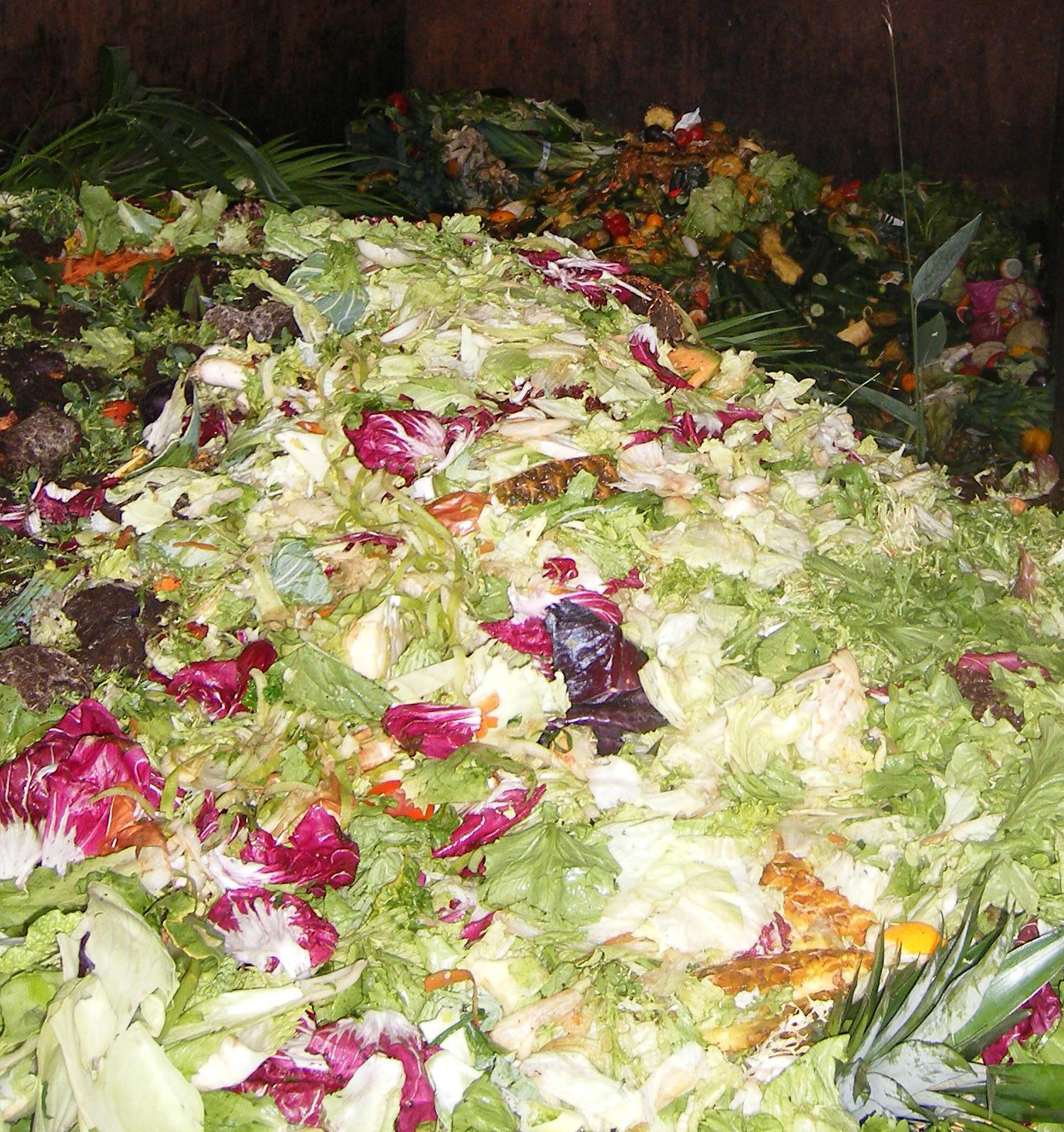 Grossmarkt-Salat