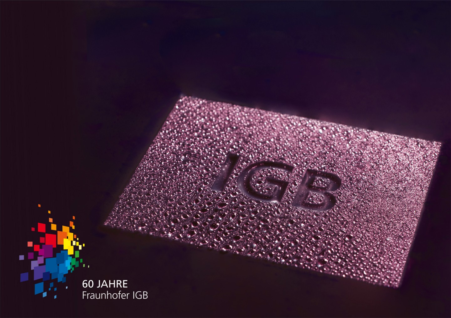 60 Jahre Forschung an Grenzflächen - Fraunhofer IGB feiert Jubiläum 60 Jahre Forschung an Grenzflächen - Fraunhofer IGB feiert Jubiläum