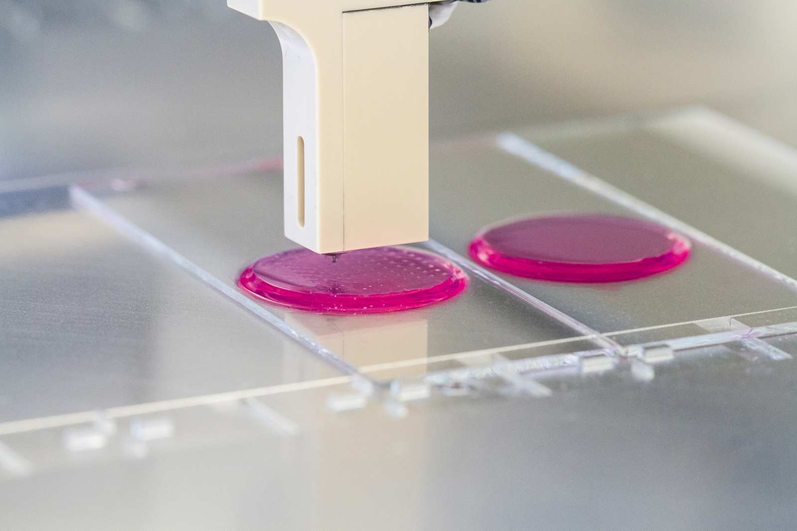Zellsuspensionen auf Hydrogel-Pads Zellsuspensionen auf Hydrogel-Pads