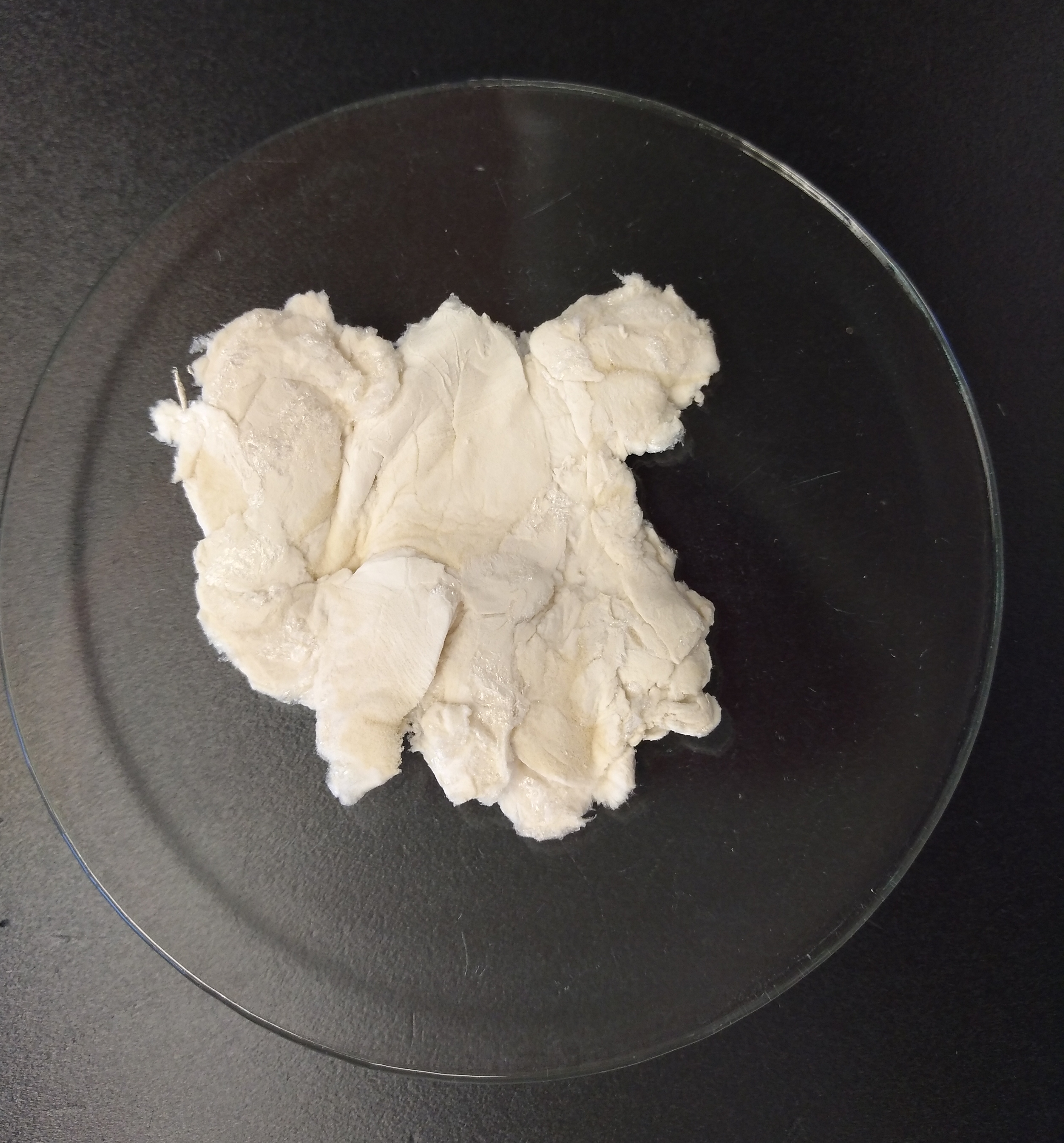 Chitosan Chitosan