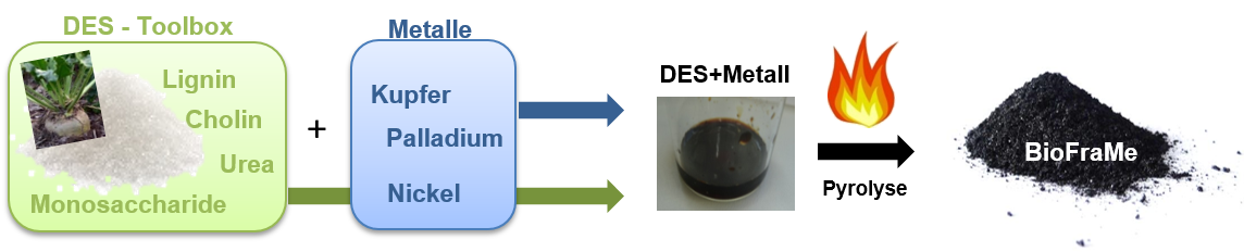 Schematische Darstellung der Herstellung von BioFraMe als biobasiertem Katalysatorträger. Dabei dienen DES aus biobasierten Quellen als Lösungsmittel für die Metalle und als Ausgangsmaterialien für die Bio Trägermaterialien. Nach Pyrolyse der DES-Metall-Mischung entstehen die biobasiert geträgerten Metallkatalysatoren, kurz BioFraMes, in einem Schritt.