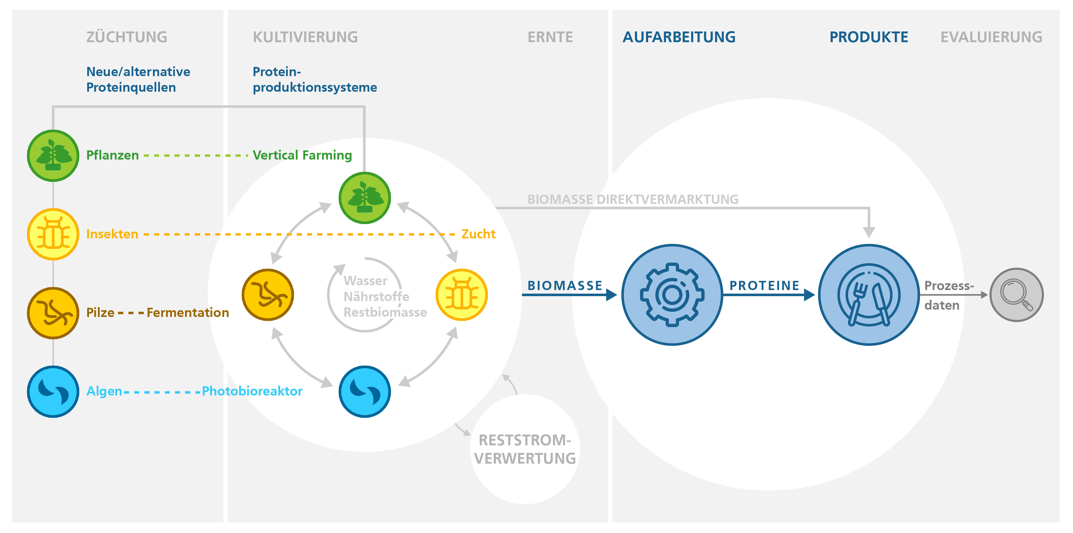 Gesamtdarstellung Fraunhofer-Leitprojekt »FutureProteins«