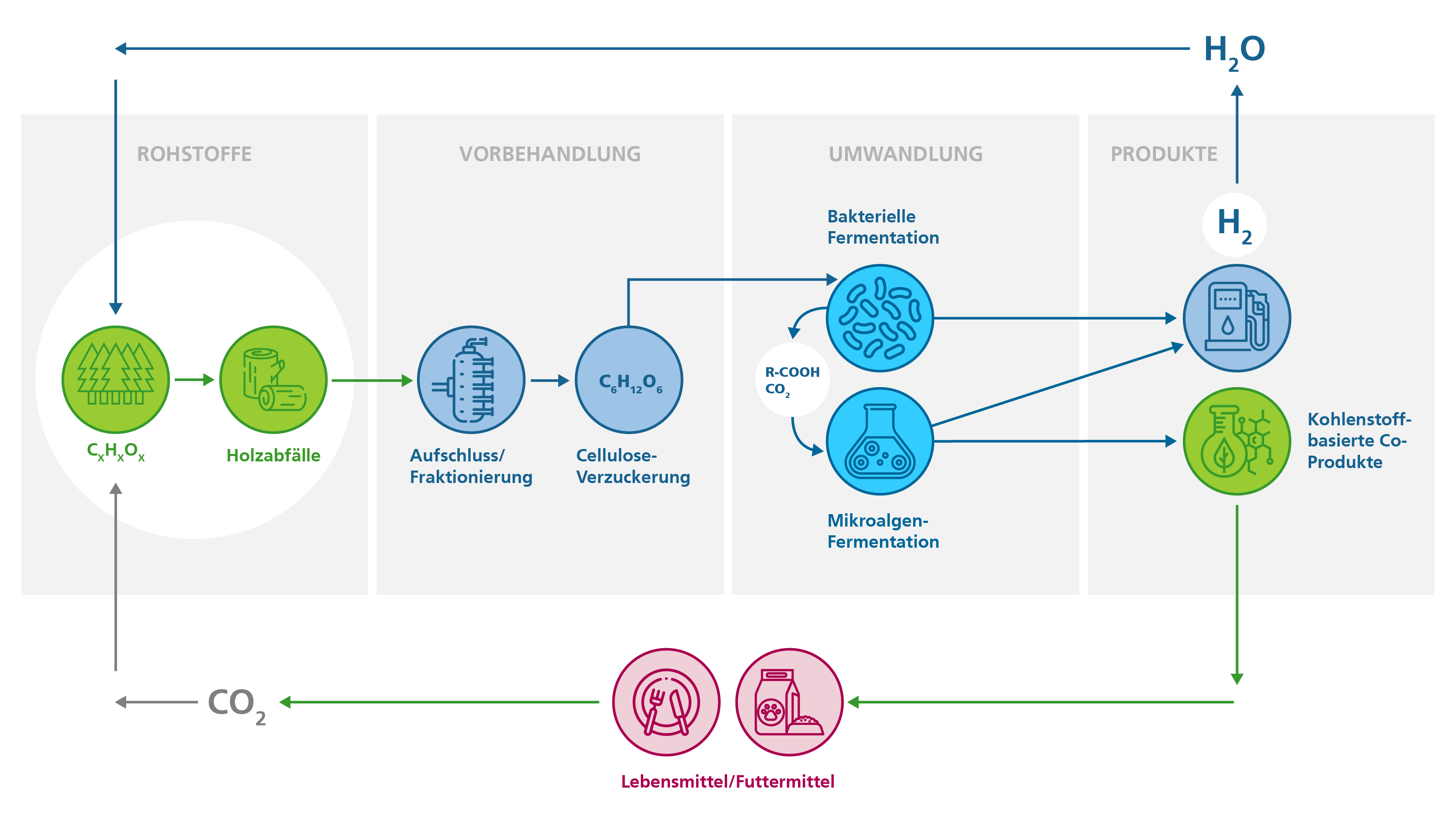 Holzabfälle können genutzt werden, um Stoffkreisläufe zu schließen und den hochwertigen Energieträger Wasserstoff bereitzustellen. Die nach der Fraktionierung und Verzuckerung gewonnenen Holzzucker dienen wasserstoffproduzierenden Mikroorganismen als Substrat. Wasserstoffproduzierenden Mikroalgen stellen aus den Produkten der mikrobiellen Fermentation (organische Säuren, CO2) Koppelprodukte her, die als Lebensmittel oder Futtermittel Verwendung finden. Bei der Nutzung des regenerativen Energieträgers Wasserstoff entsteht nur Wasser.