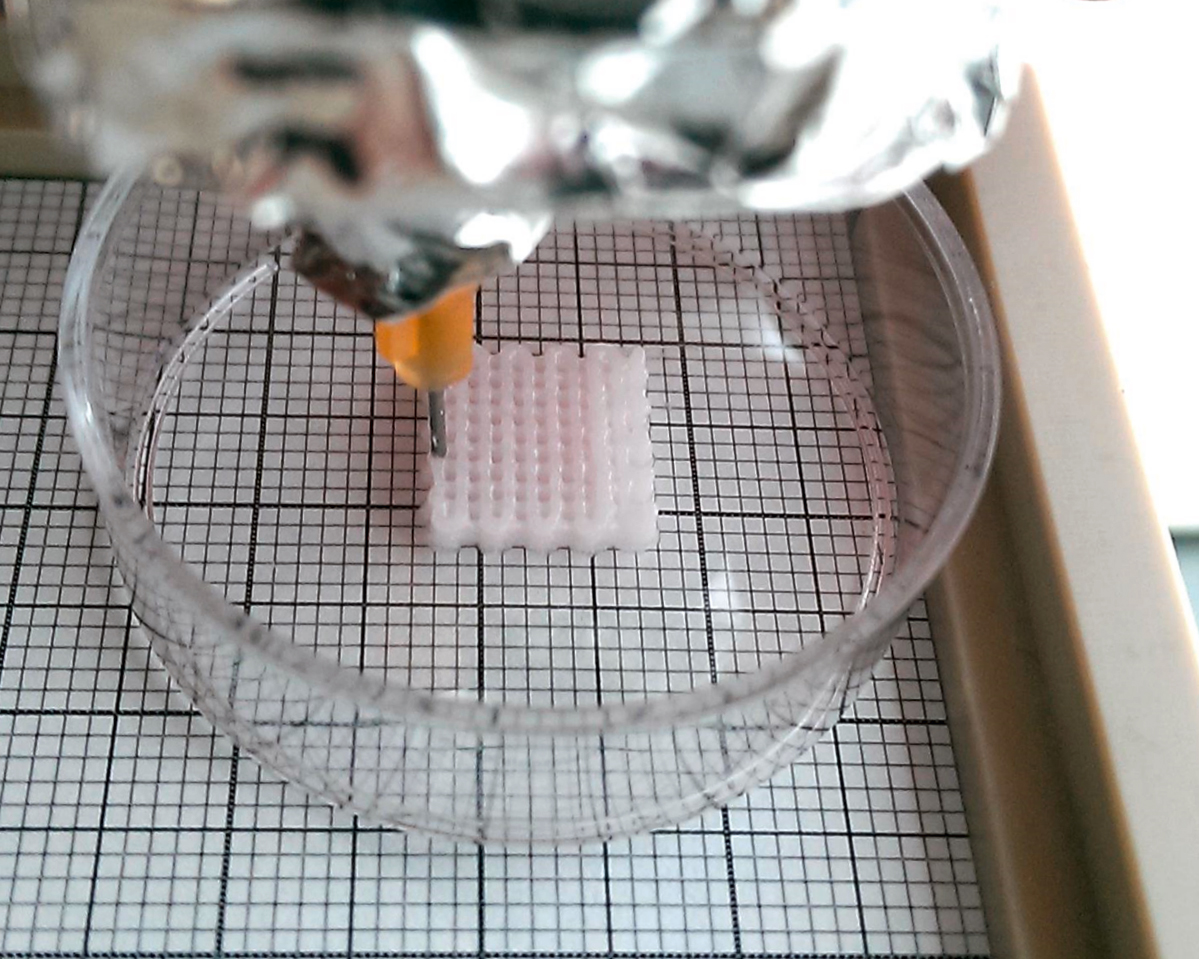 3D-Druck von Knochentinte.