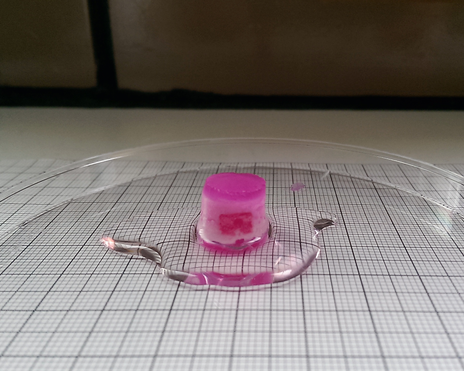 Tissue model for vascularized bone.