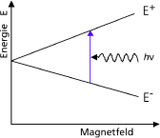 Zeeman splitting: Splitting of the energy levels of the electron in the magnetic field.