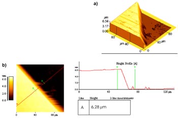 Determination of coating thicknesses with AFM.