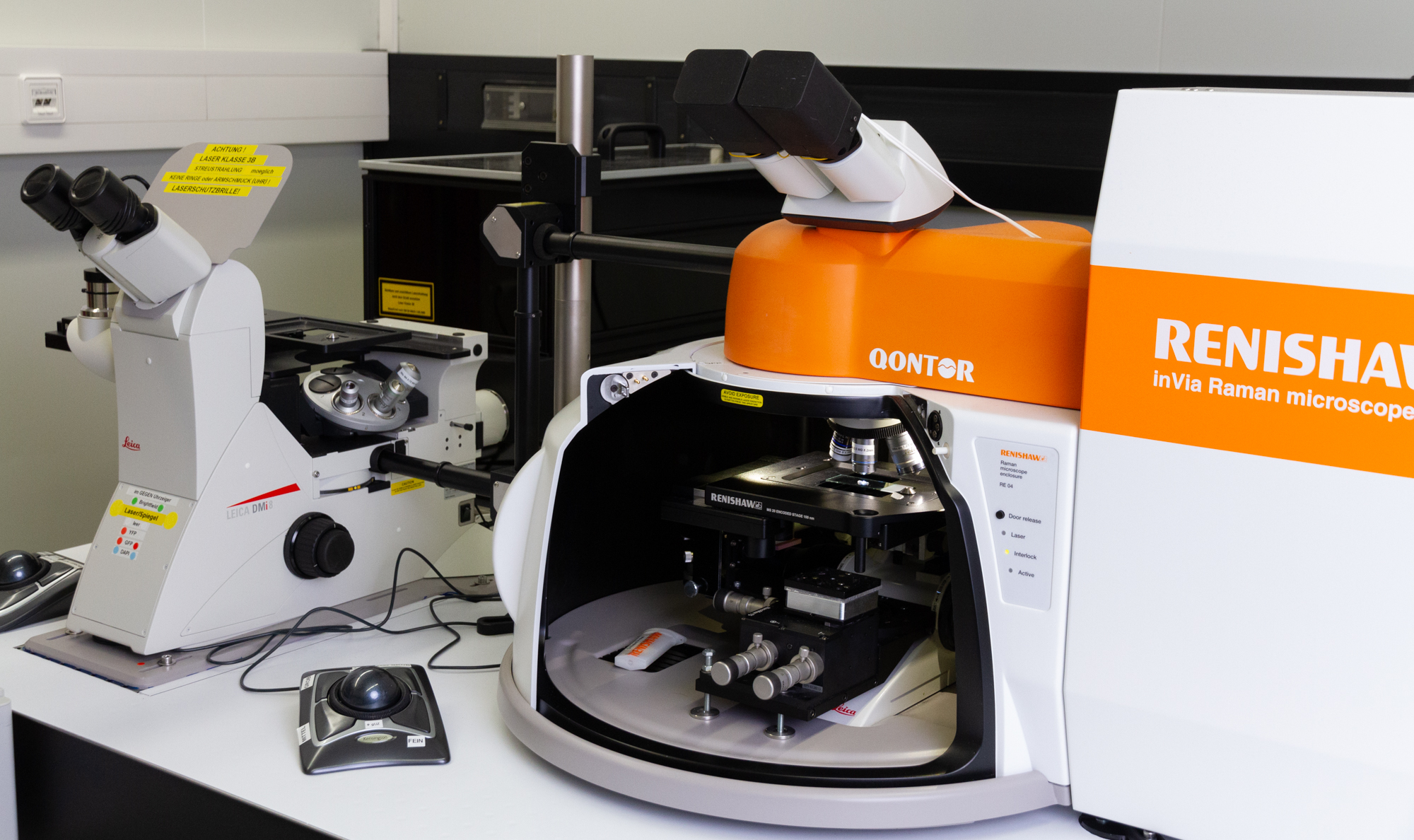 Raman spectroscopy and microscopy.