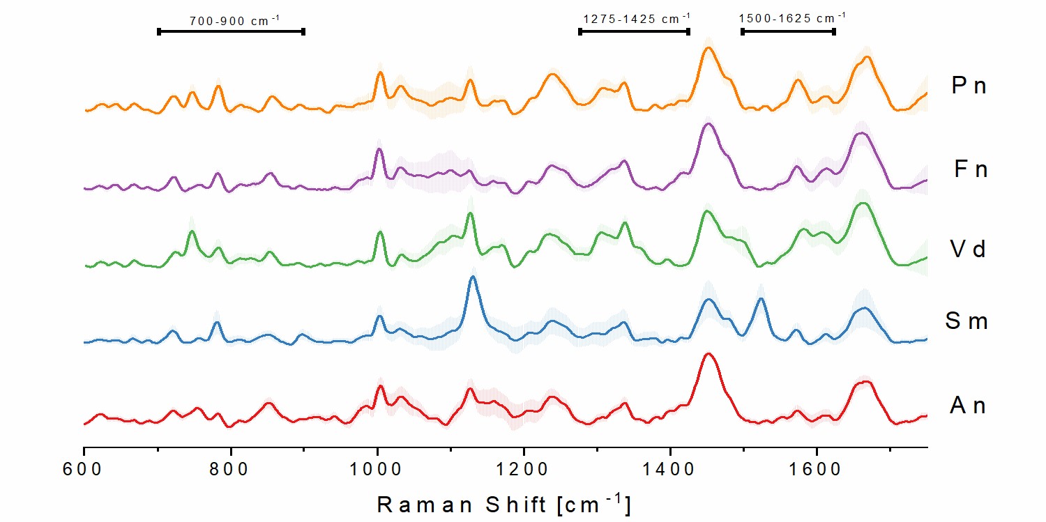 Differentiation of oral bacteria using Raman spectra and statistical models.