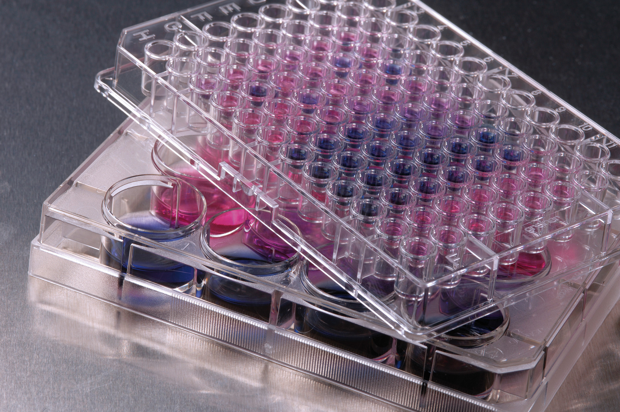 Cell-based assay for pyrogen detection.