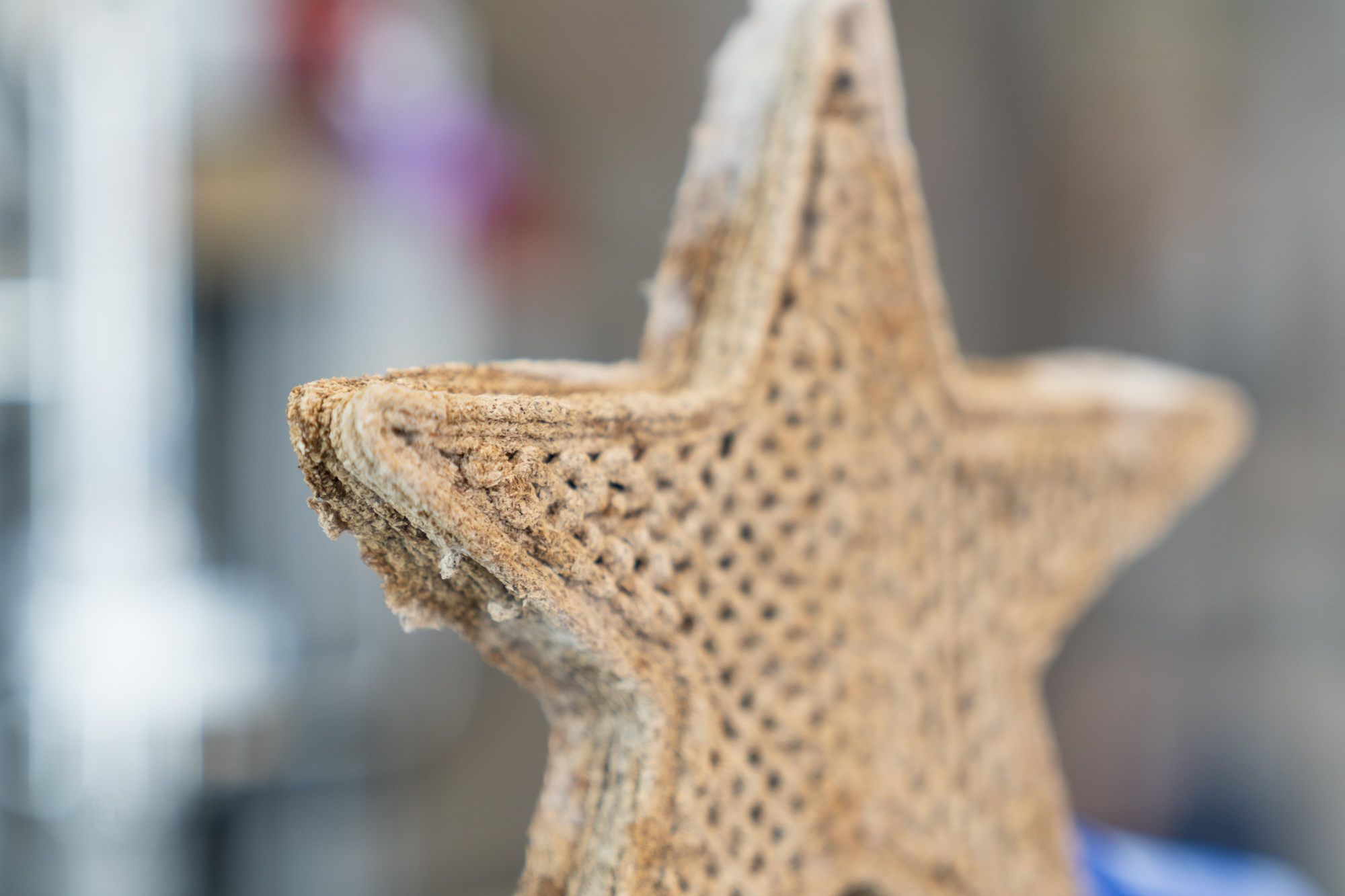 Per 3D-Druck hergestelltes pilzmyzelbasiertes Material