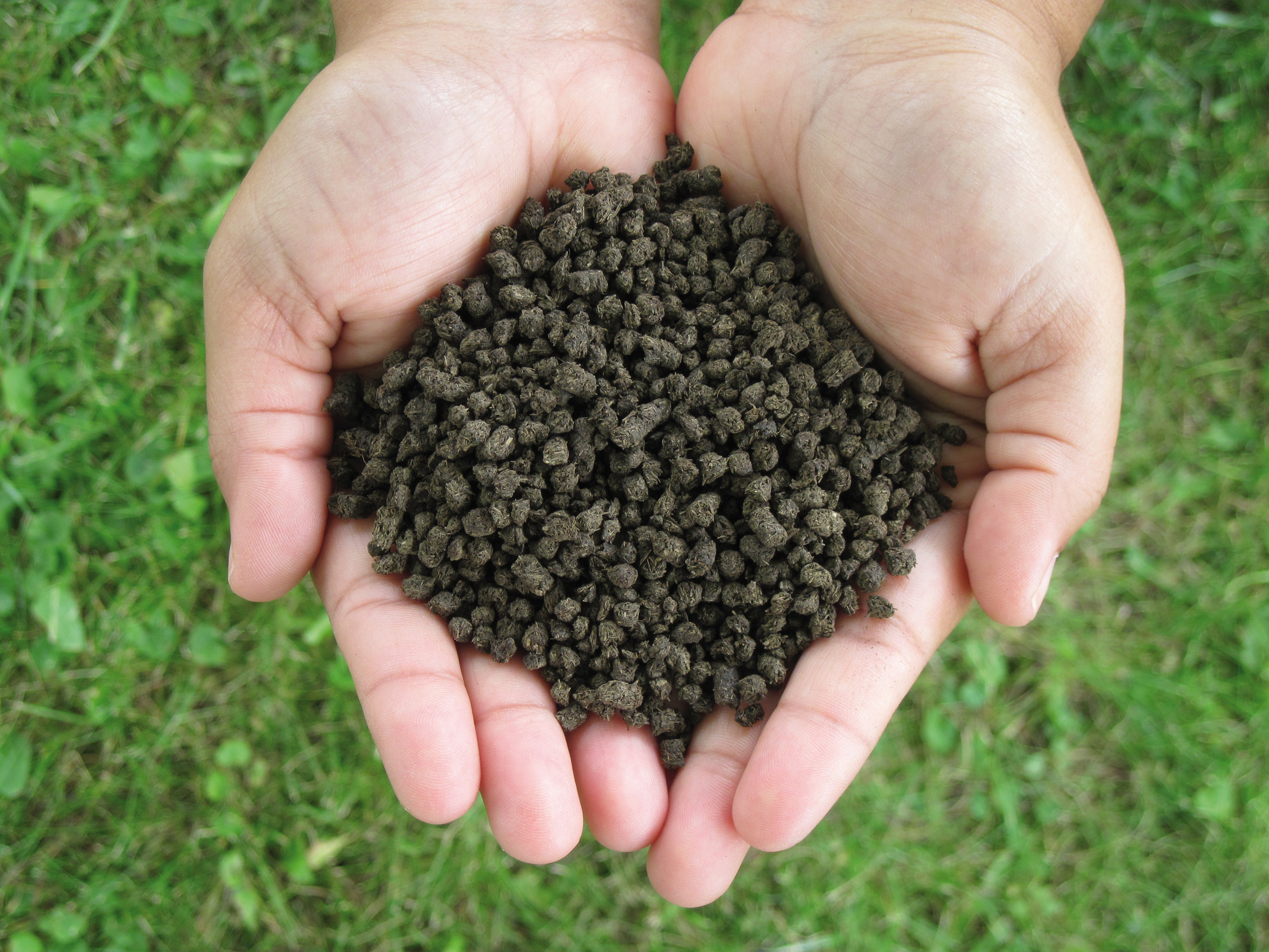 manure pellets