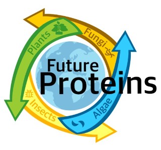 Bioactive paper coatings to replace plastic for packaging foods