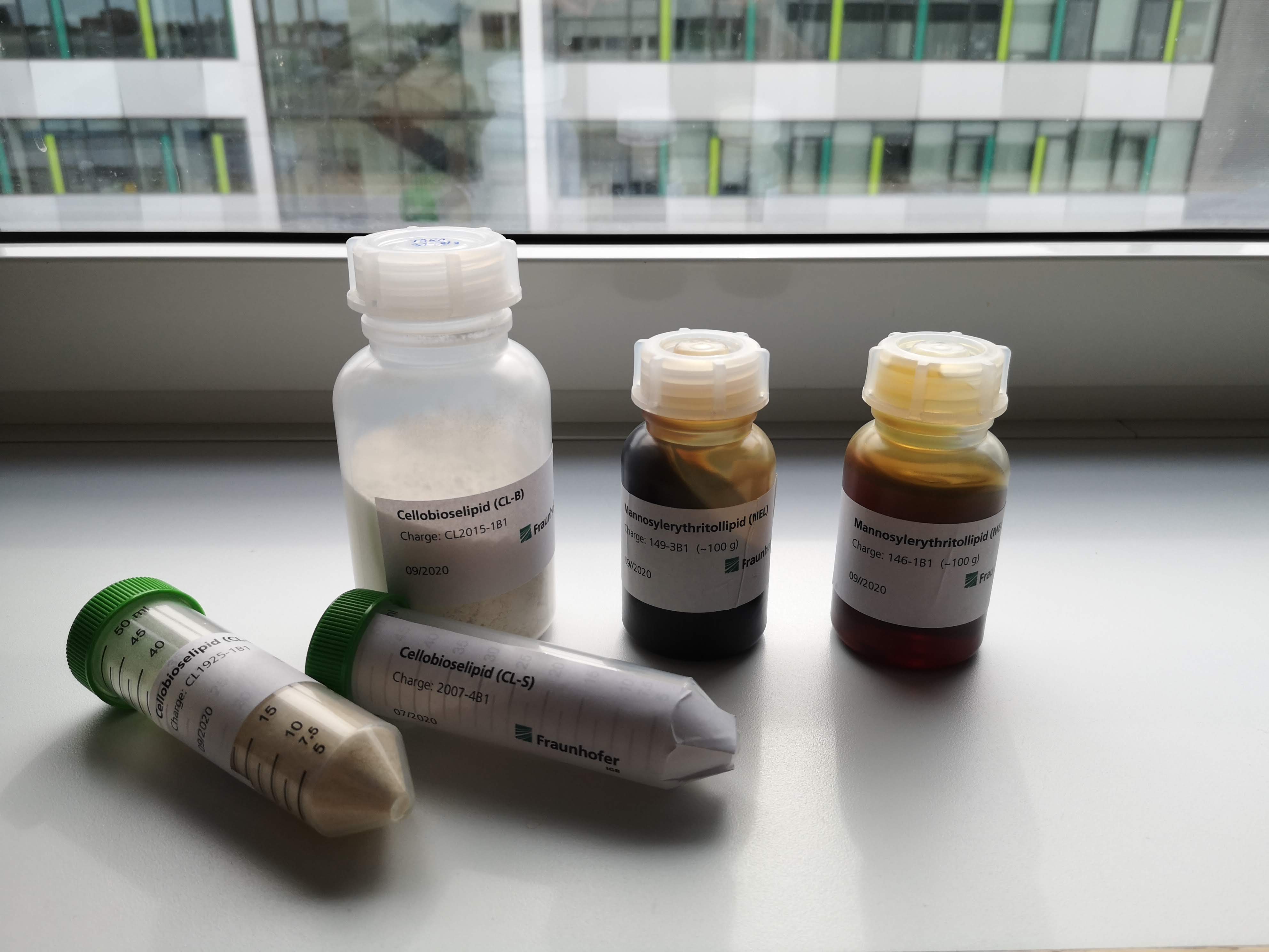 Samples of different cellobiose- and mannosylerythritol lipid variants ready for shipment.