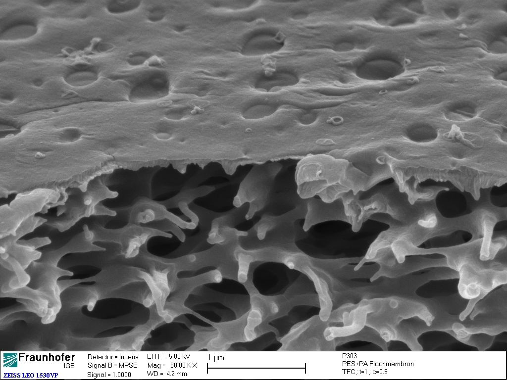 TFC membrane under electron microscope