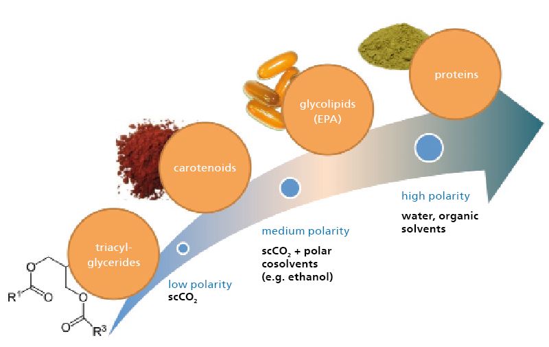 Utilizable algae ingredients with increasing polarity and the corresponding solvents used for extraction.