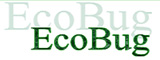 EcoBug.