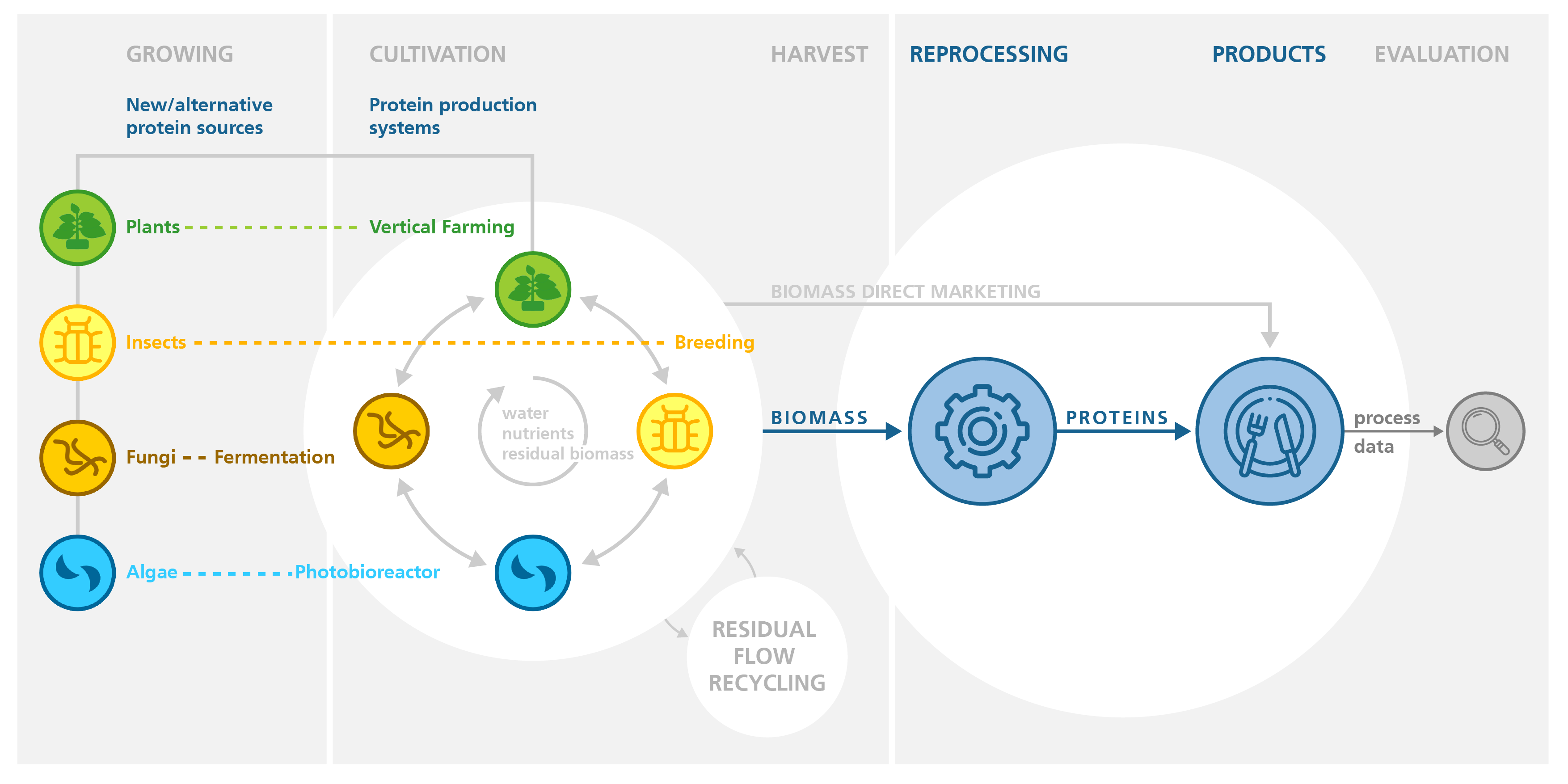 Graphic, Fraunhofer Lighthouse Project »FutureProteins«