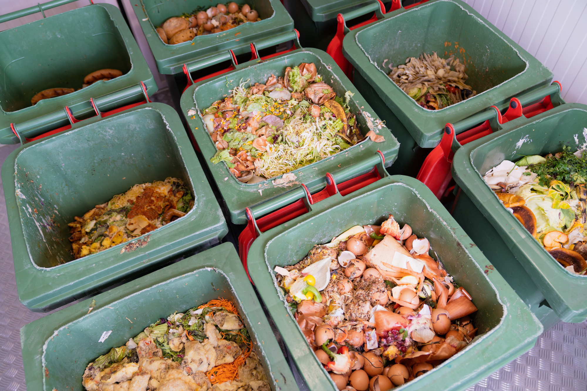 Organic waste can be recycled in the insect biorefinery