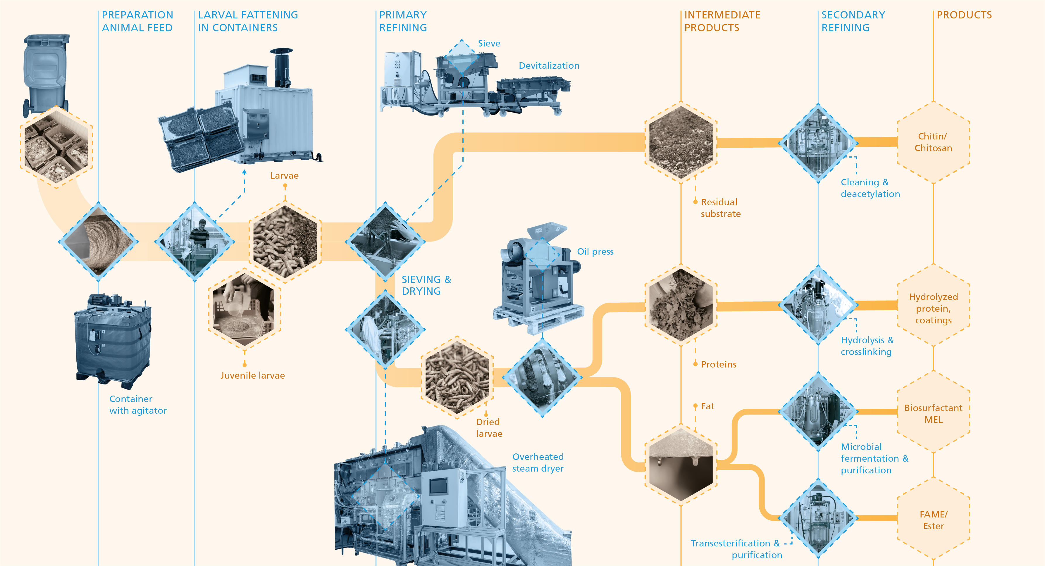 InBiRa process scheme