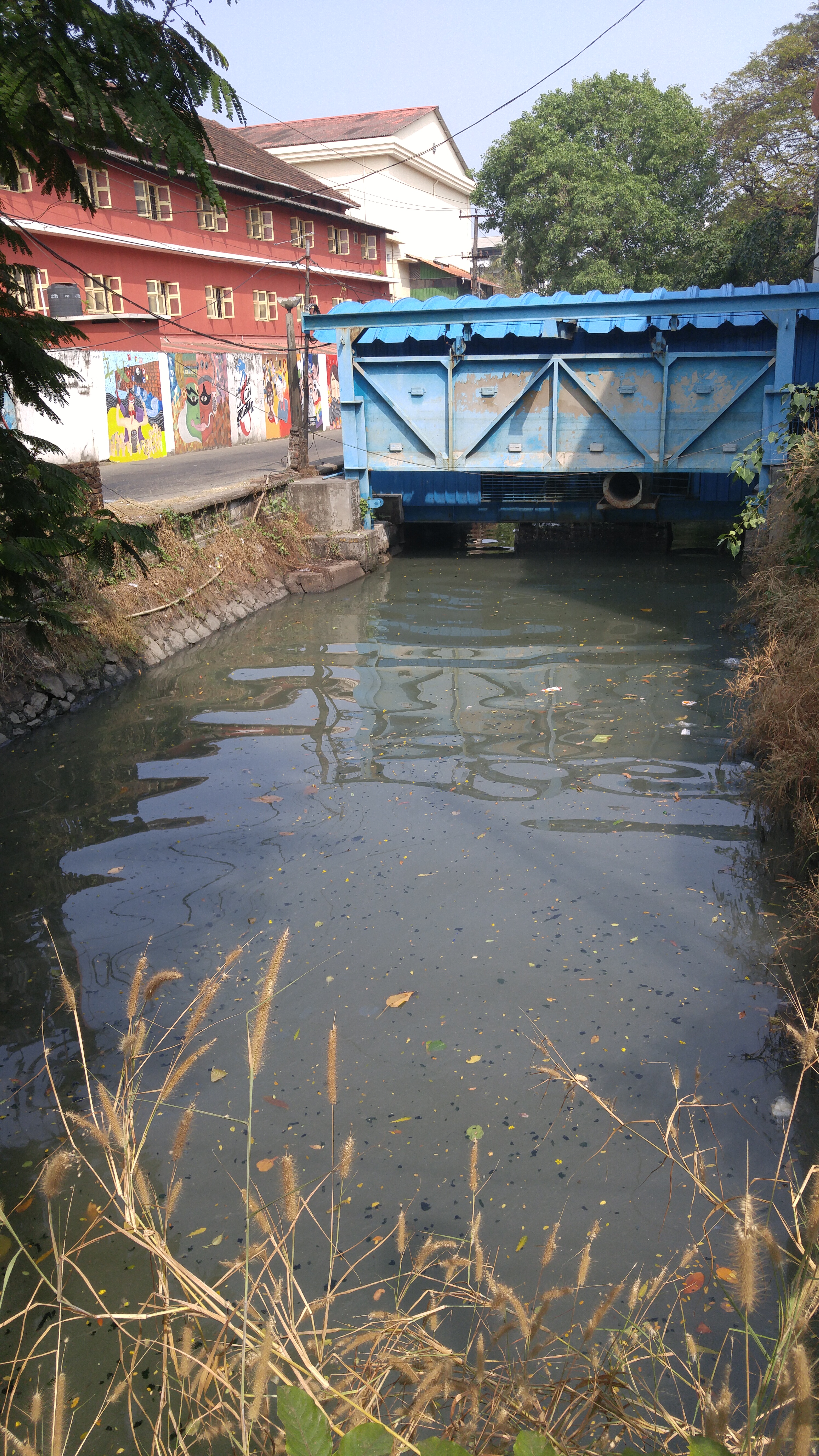 Polluted canal in Kochi, India.