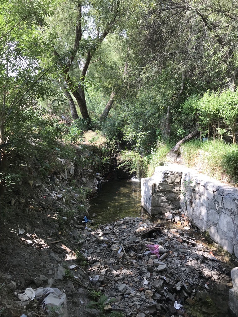 Dirty watercourse in Saltillo, Mexico.