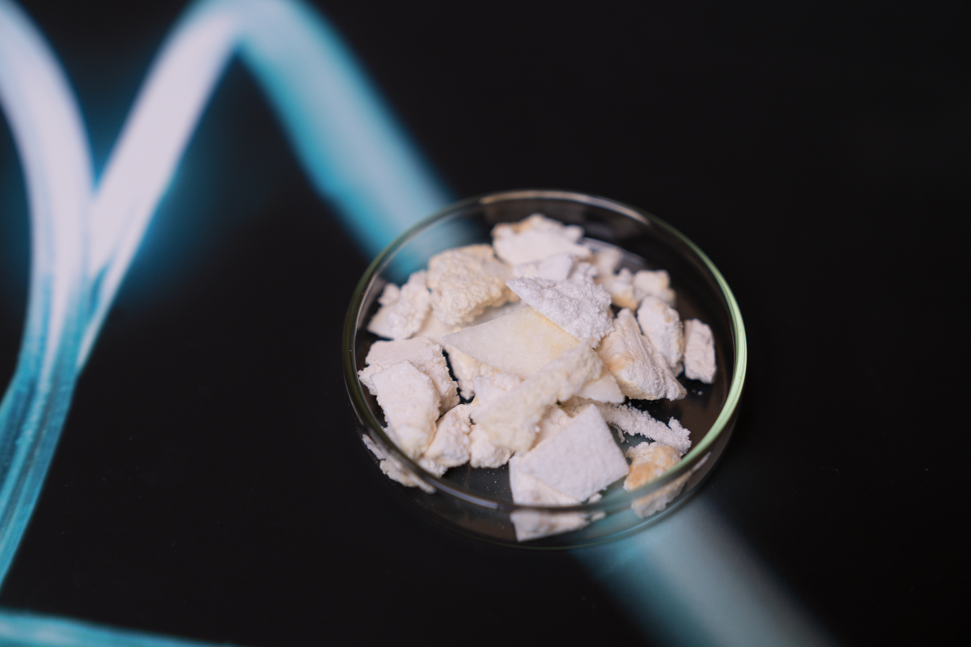 Polyhydroxybutyrate-co-hydroxyvalerate Copolymer (PHBV)