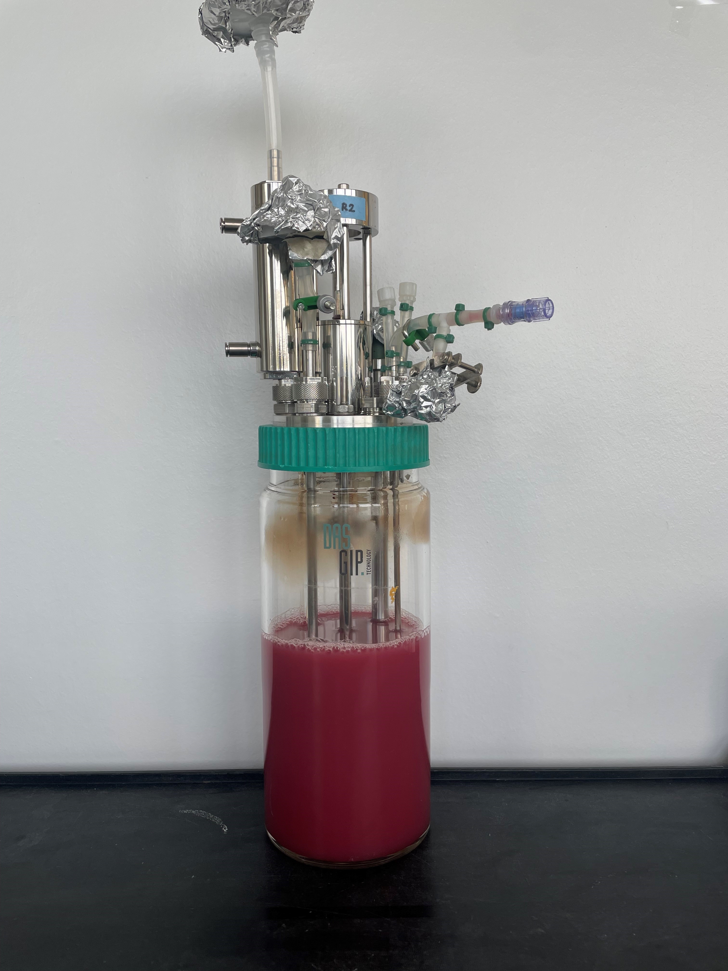 Rhodospirillum rubrum in a 1-liter bioreactor