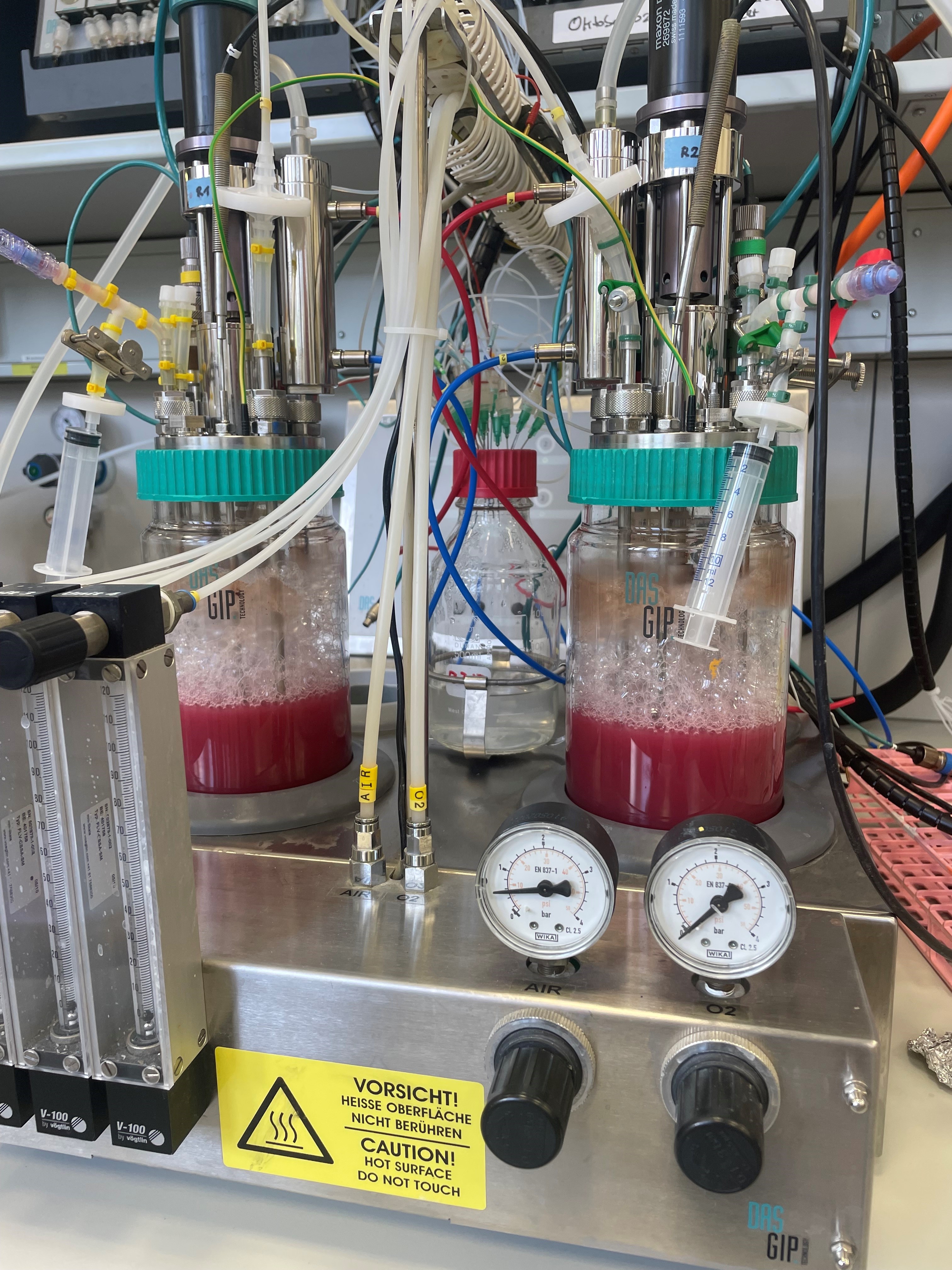 Experimental setup with Rhodospirillum rubrum under laboratory conditions in 1-liter bioreactors